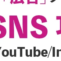 SNS動画マーケティングの新時代