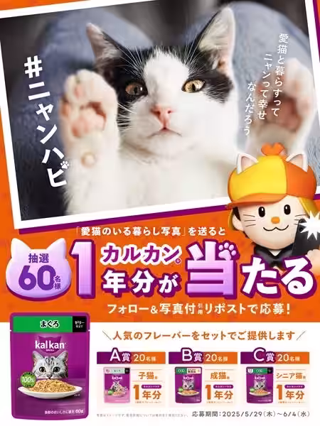 画像11
