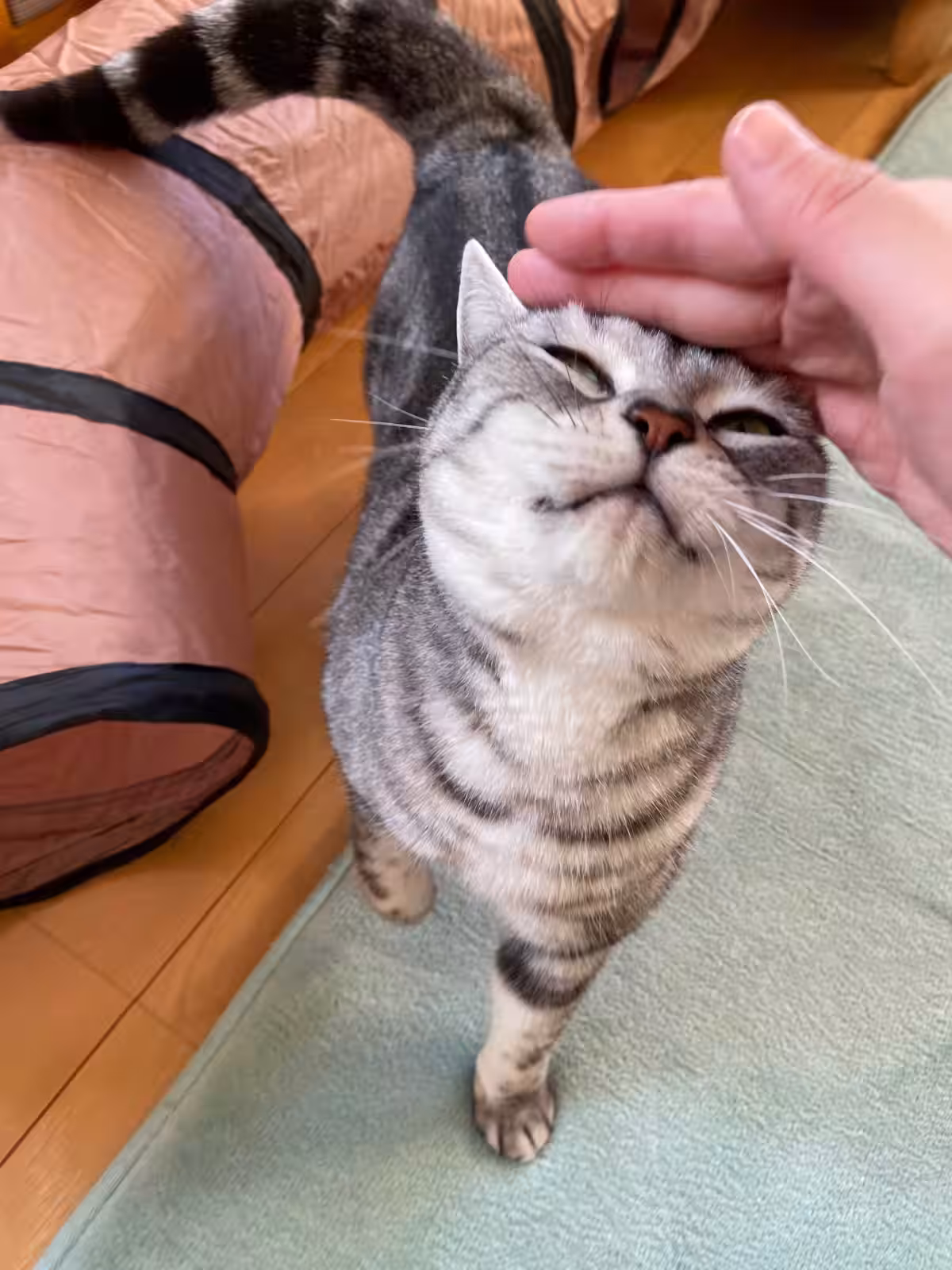 画像17