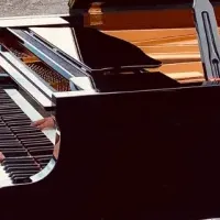 音楽の架け橋