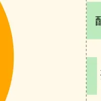 家族名義口座の実態