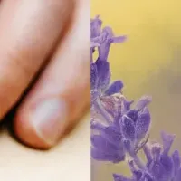 新しいWacom Intuos Pro