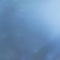 SHIROの香りコラム