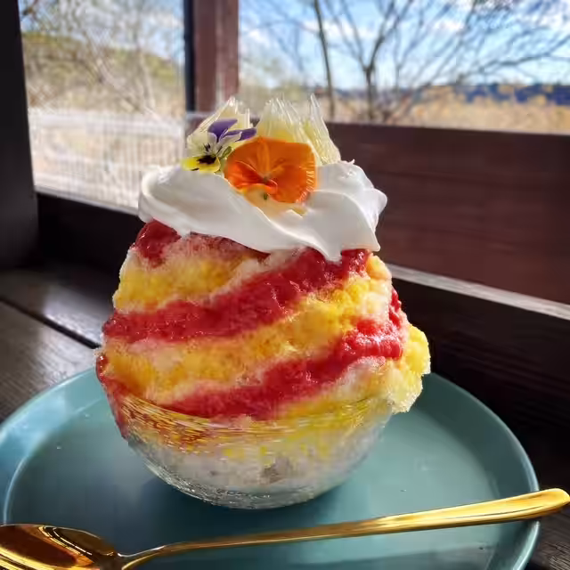 画像7