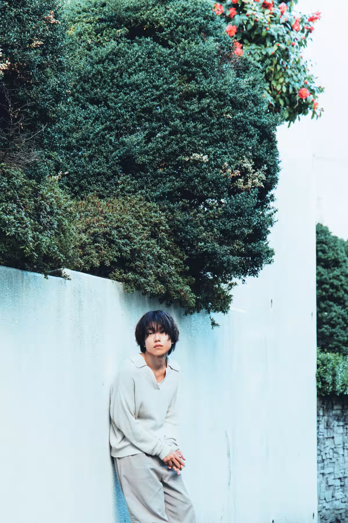 画像4