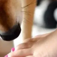 足のニオイと向き合う
