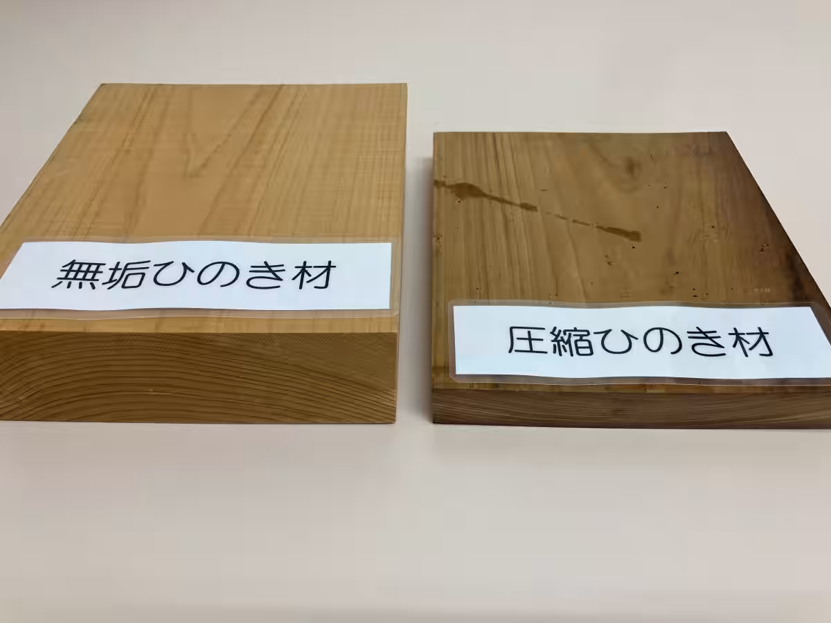 画像14