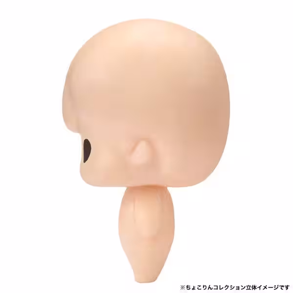画像12
