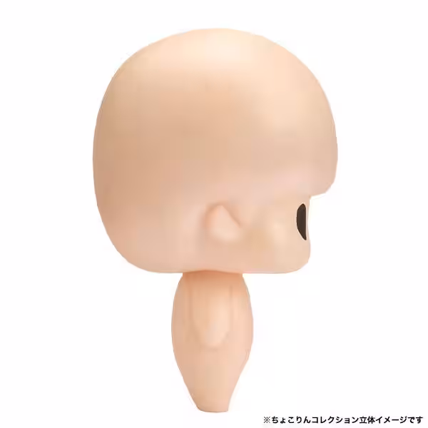 画像11