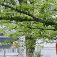 タコ公園のアート