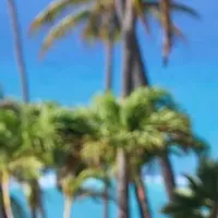 ホノルルマラソン2025