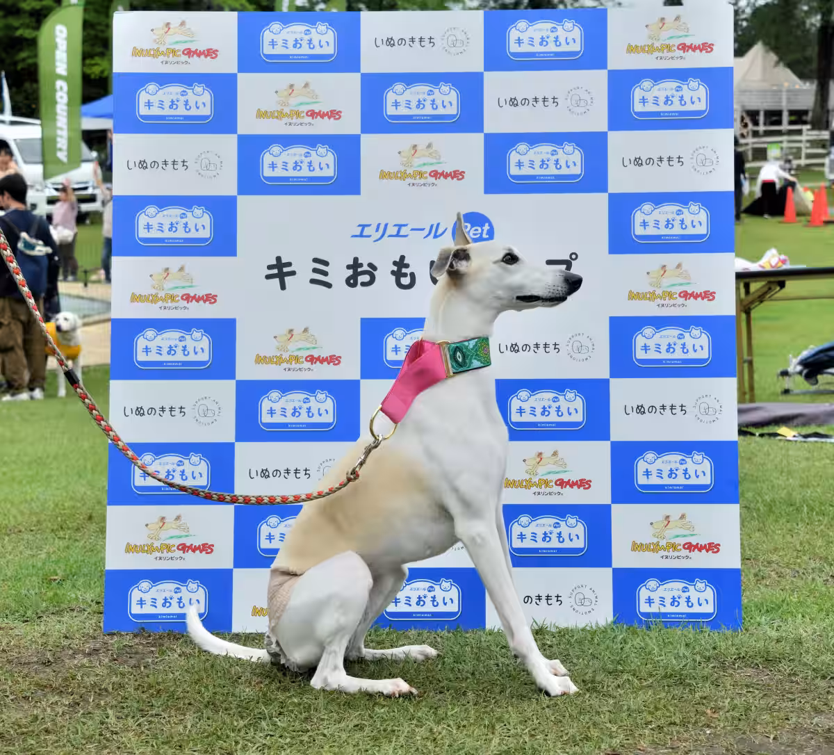 画像2