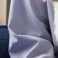 愛犬との特別旅