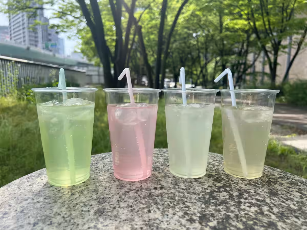 画像7