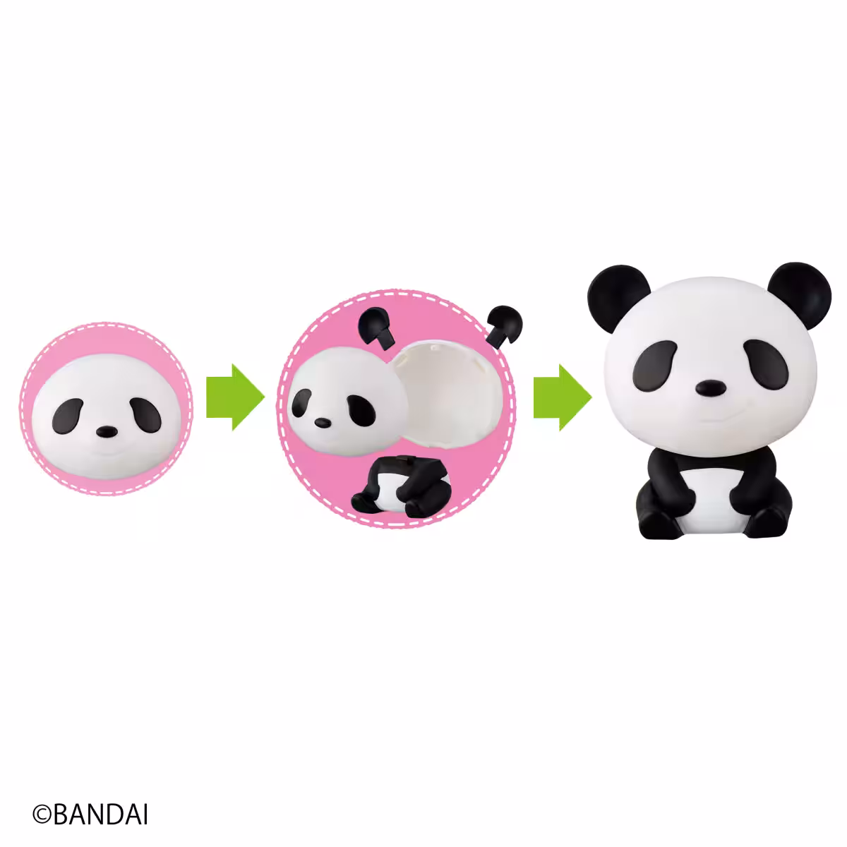 画像9