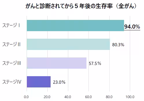 画像12