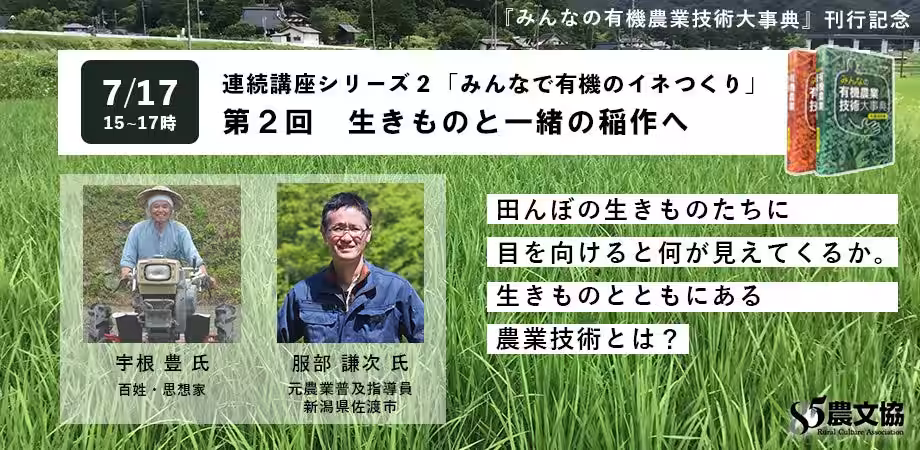 画像9