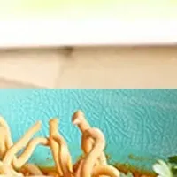 注目のエスニック料理