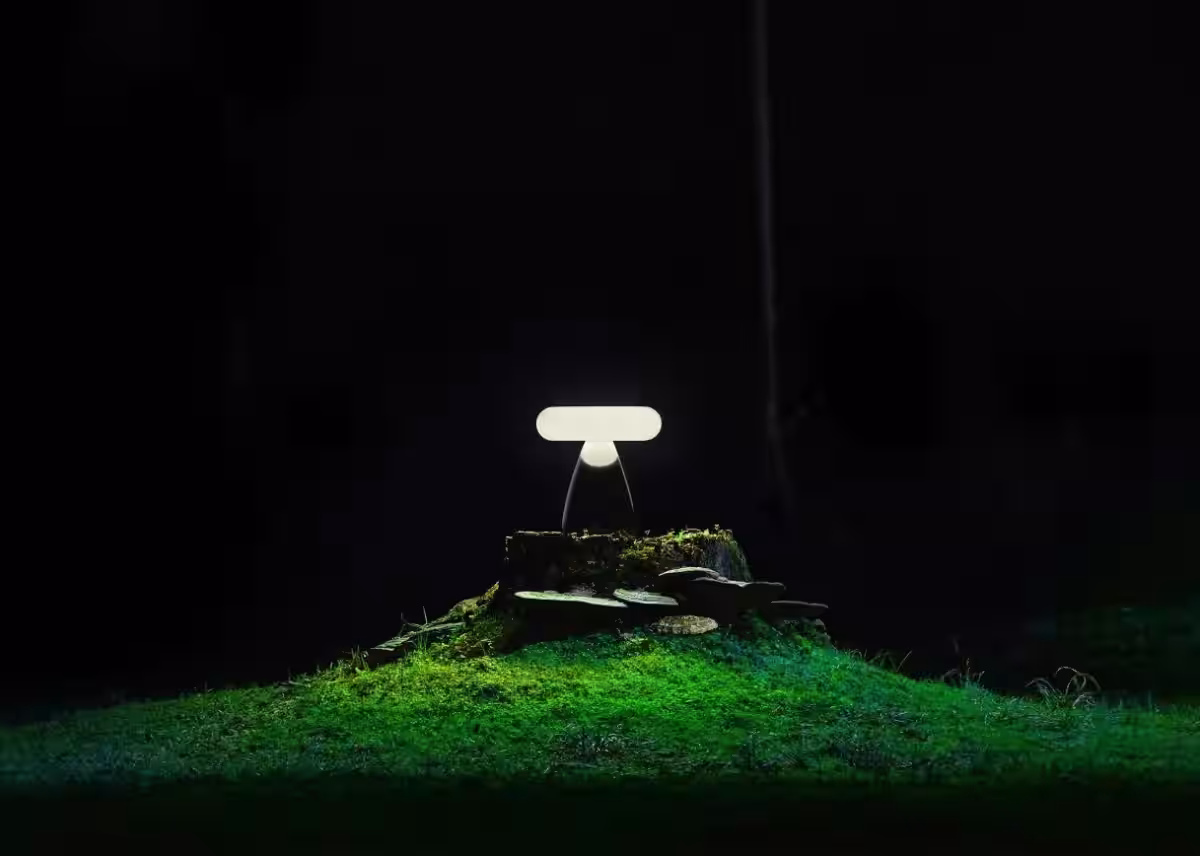 画像14