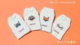 画像4