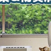 Neakasaで猫トイレ臭対策