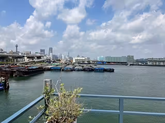 画像11