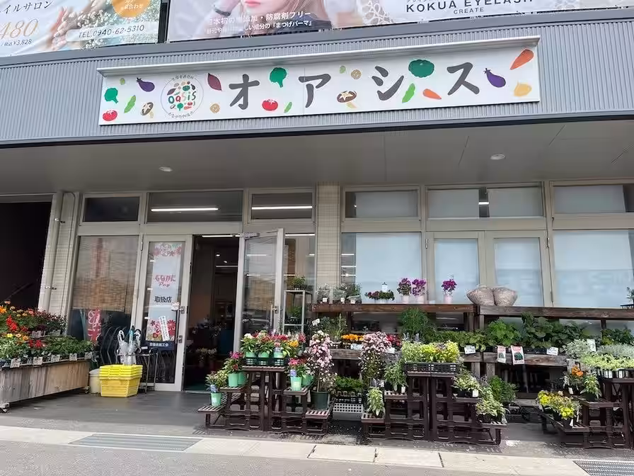 画像5