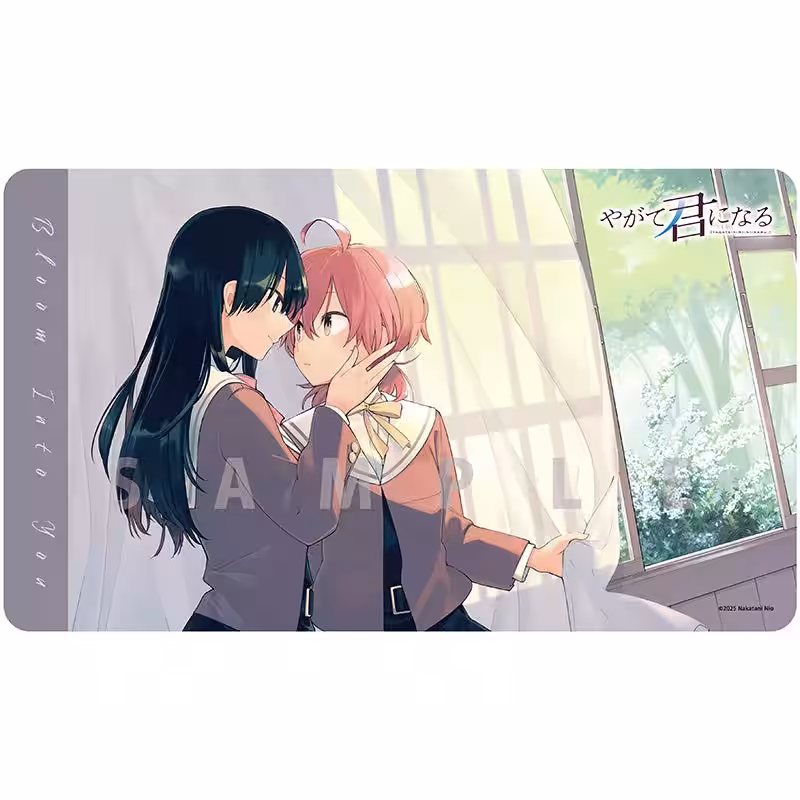 画像15