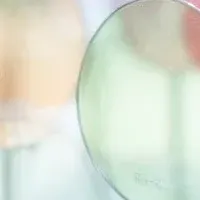 鯖江のサングラス新ファンド