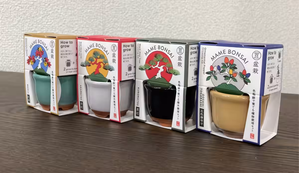 画像4