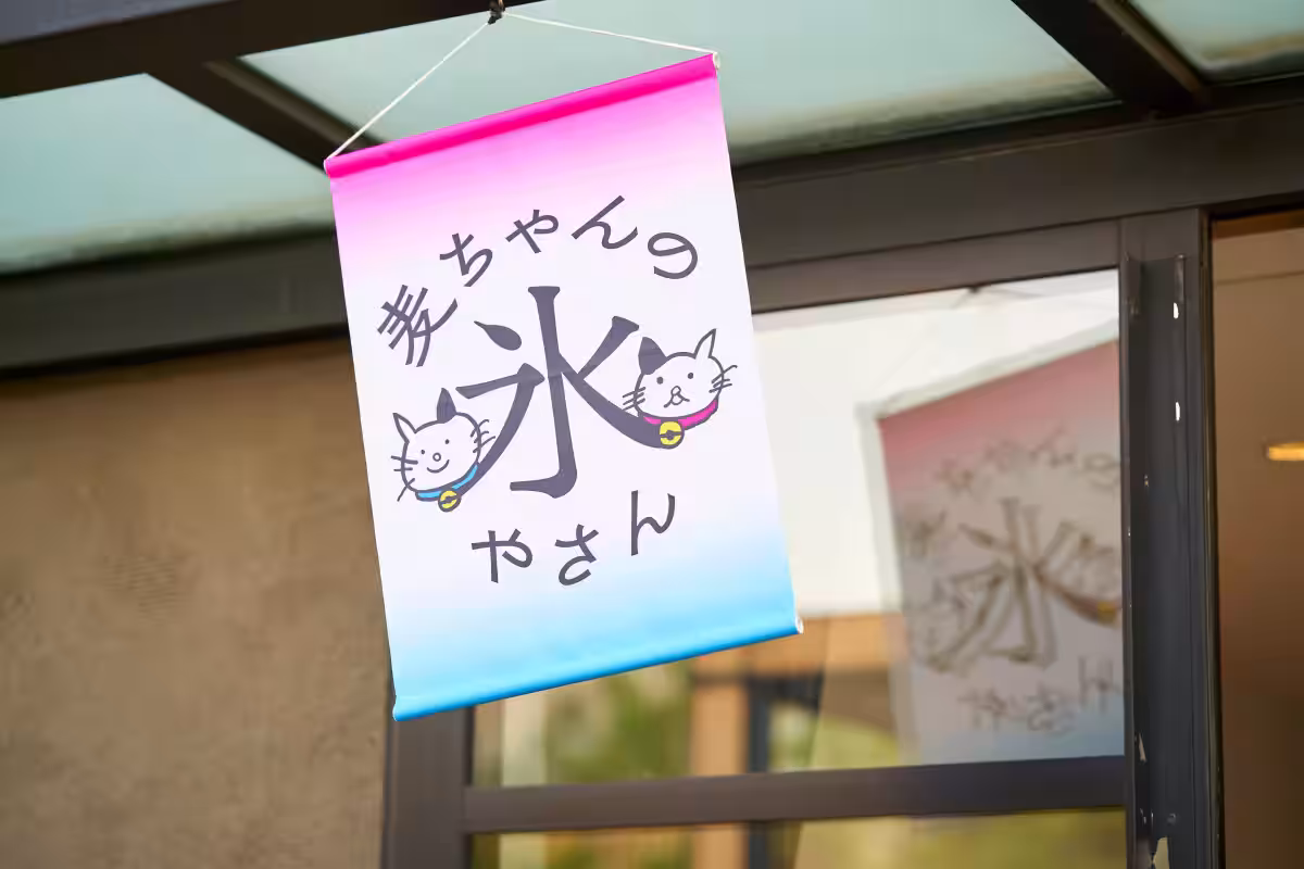 画像8