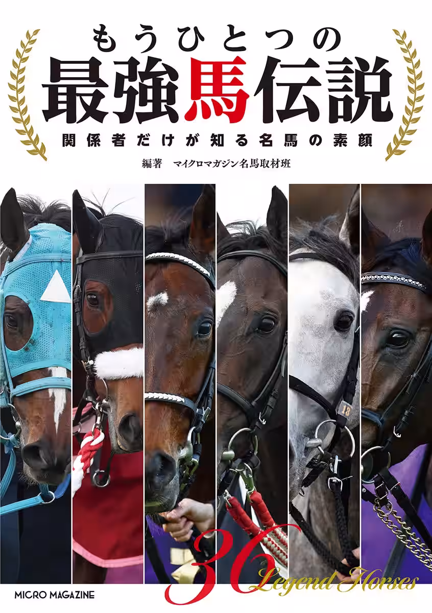 画像11