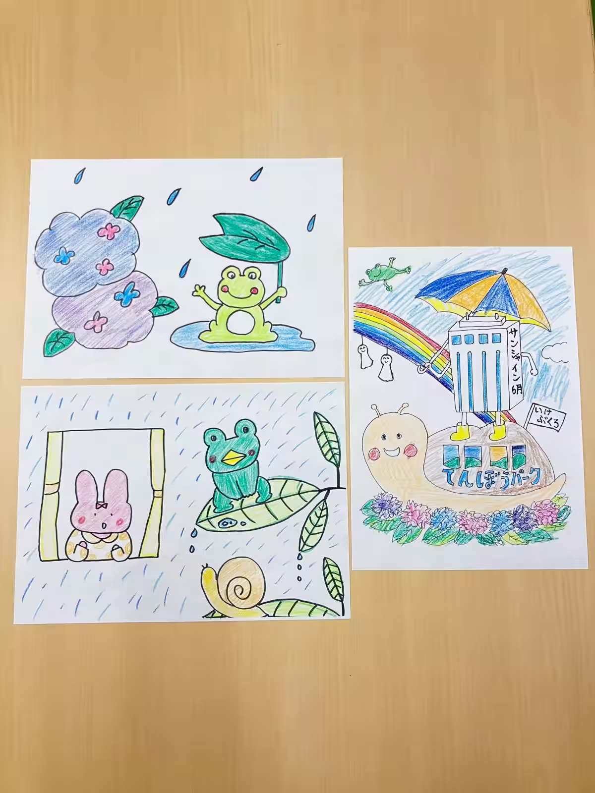 画像7