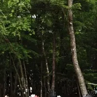 愛知のSDGsの森
