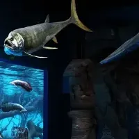 新しい海洋体験