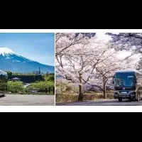 富裕層も夢中！