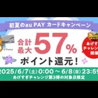 au PAYポイントバック