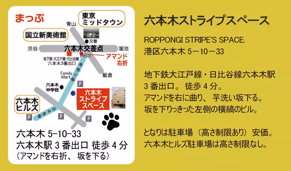 画像6