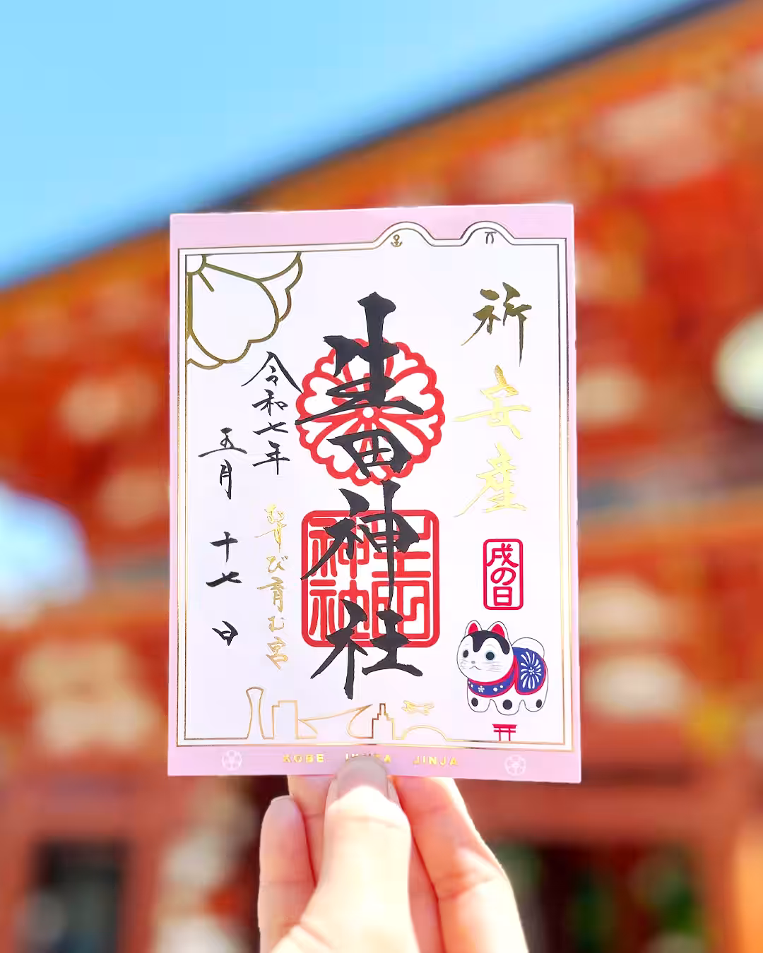 画像7