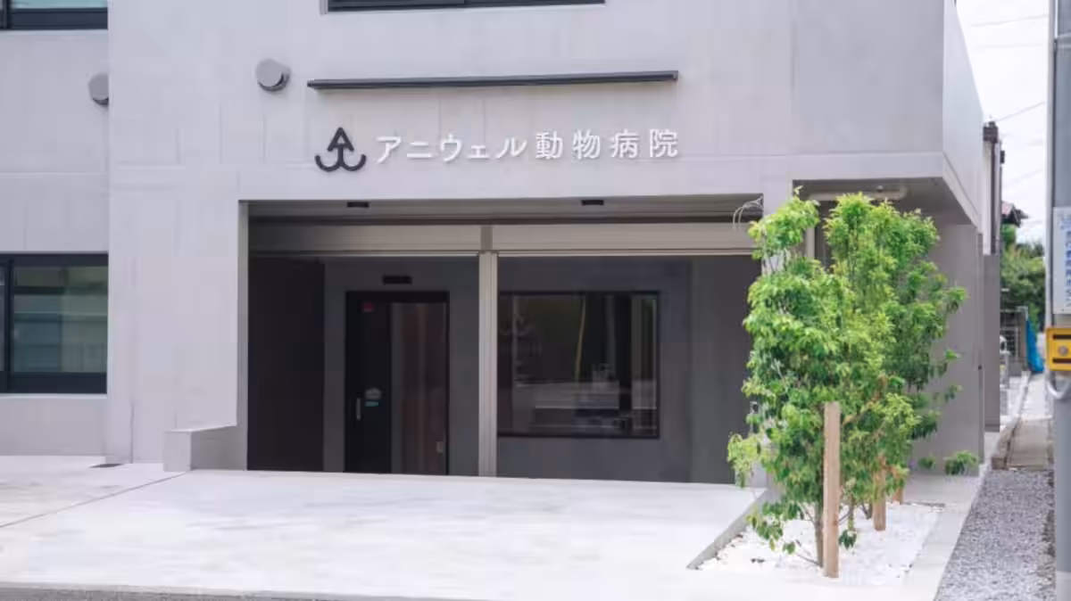 画像5
