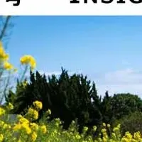 ラックの最新レポート