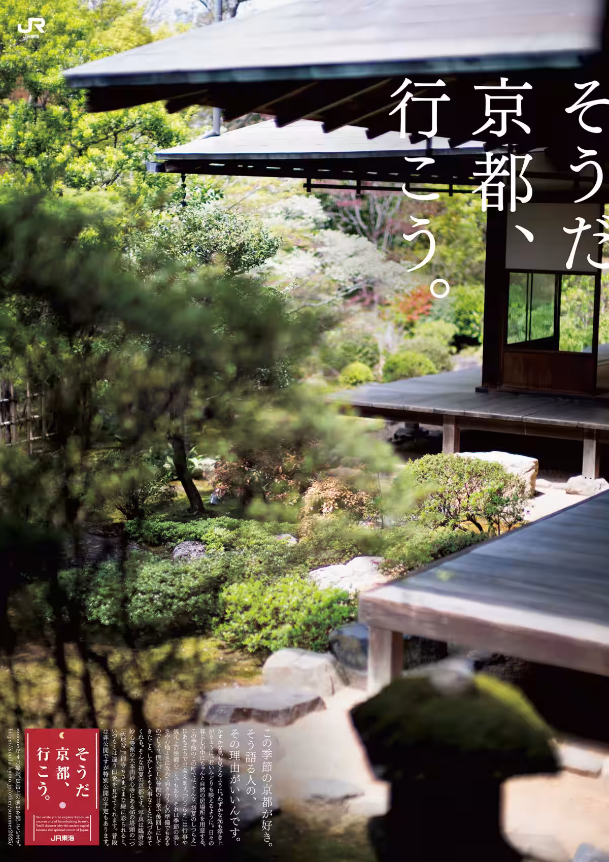画像15