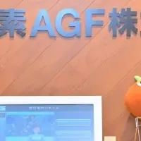 Go Insightの新たな挑戦