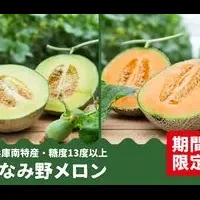 いなみ野メロン登場