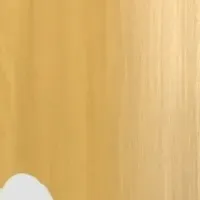 サポカレ新コンテンツ