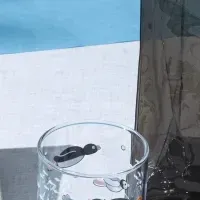 ピングーコラボバッグ