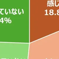 夏バテ対策にコングクス