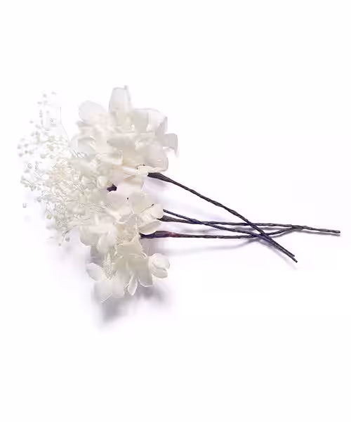 画像12