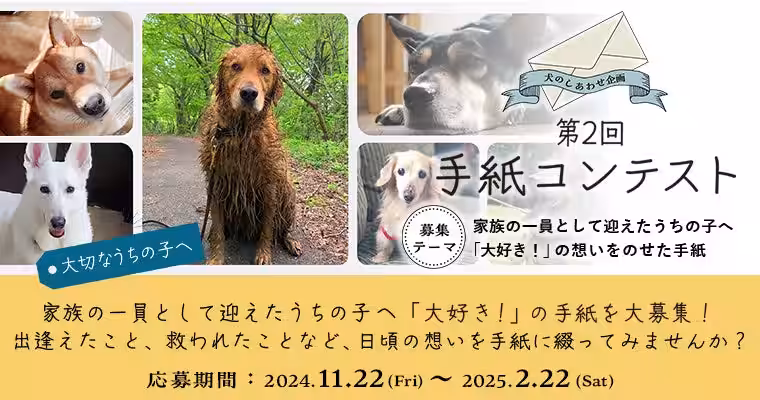 画像17