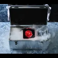 アートな夏かき氷